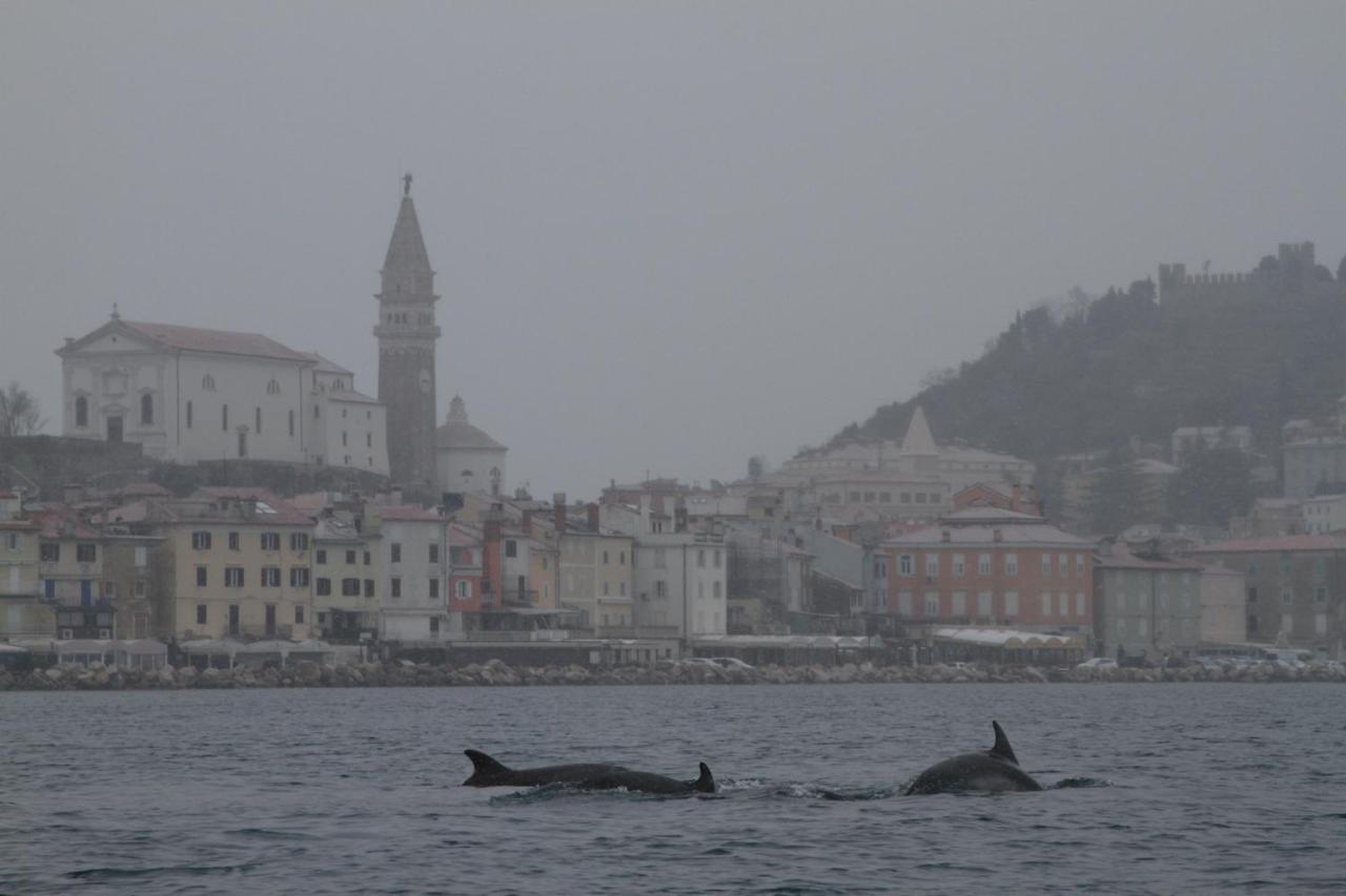 Sal & Mar Apartments Piran Eksteriør billede