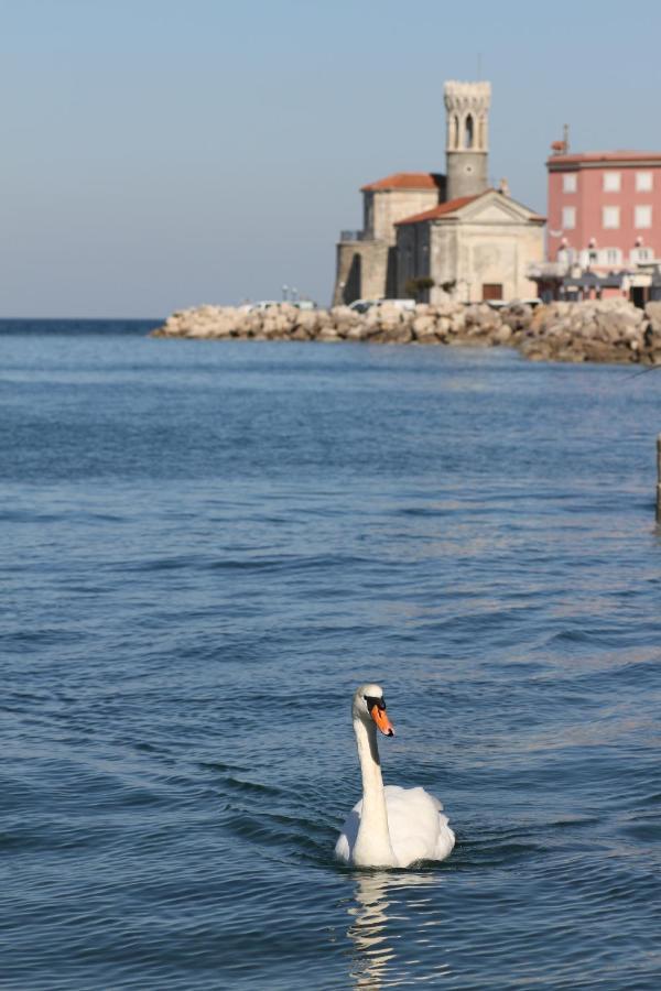 Sal & Mar Apartments Piran Eksteriør billede